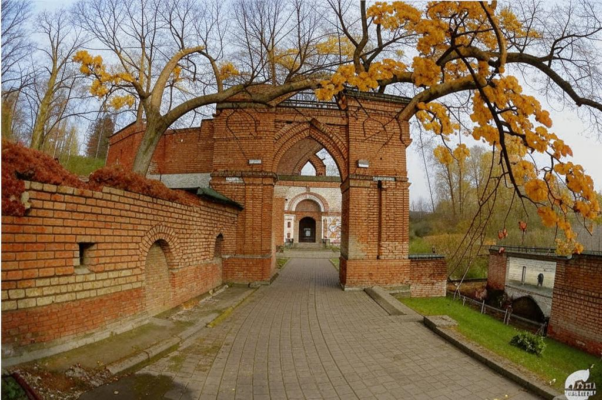 «Позлащенные соты кирилловской липы...»