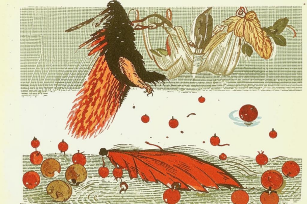 «Помнишь — гусениц чуткий пушок...»