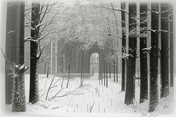 «Сегодня стёкла в снежном хворосте...»