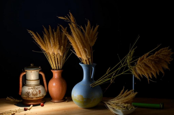 «Сухие метелки — ковыль позапрошлого лета...»