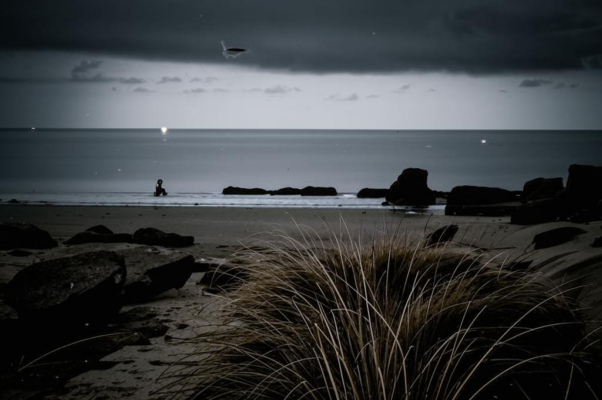 «Темнеющая грива...»