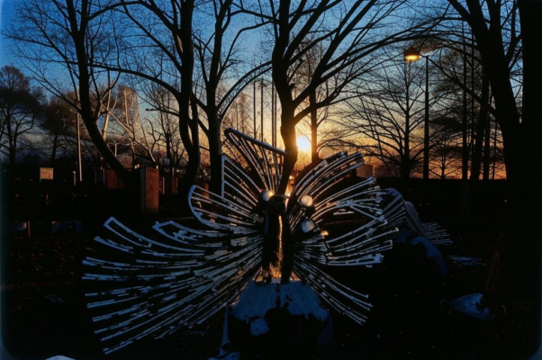 Вариация («на закат…»)