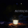 «Под пологом ли слишком жарко...»