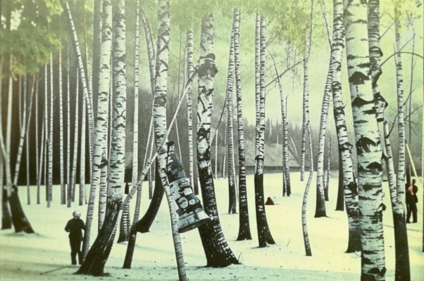 За городом («Мы идем тропинкой между травами…»)