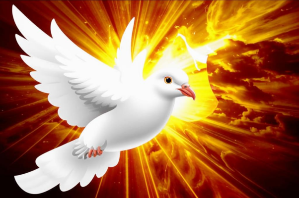 «Белый голубь рассекает дали...»