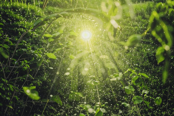 «Весенний дождь поит земные нивы...»