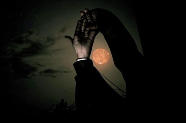 «Не все ль равно? Сначала заболею...»