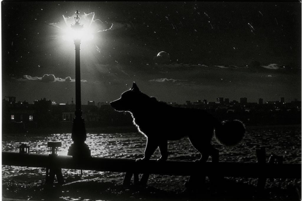 «Ночь. И звезд на небе нет...»