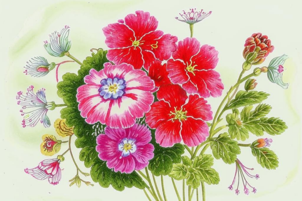 «Парижские приму я Соловки...»