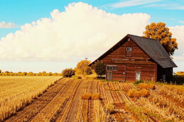 «Расчет, и учет, и плата...»