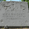 На могиле Д.И. Писарева
