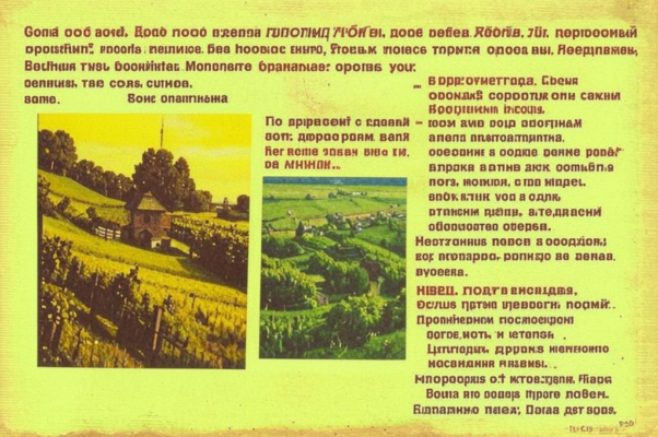 Хмель («Бог в жизни дал тебе сладчайший мед земли…»)