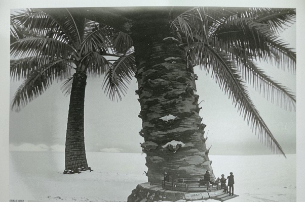 «Все то же земное сравненье ...»