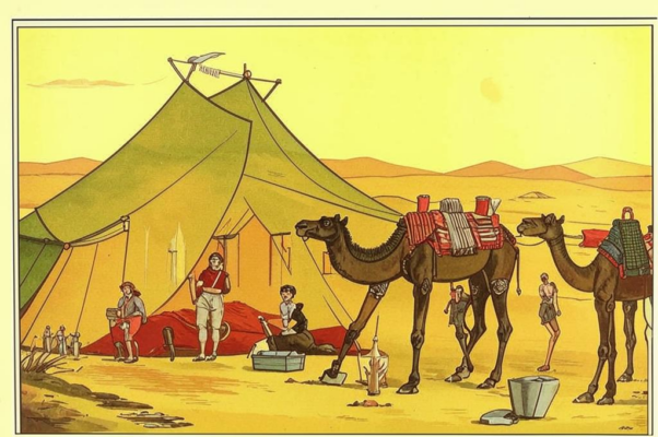 «Где теперь эти тонкие смуглые руки...»