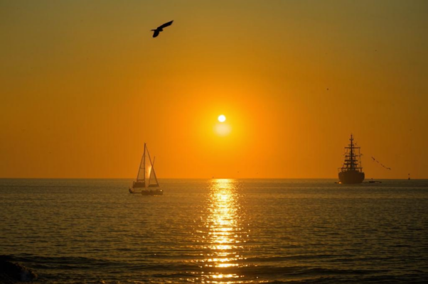 «Европа, ты зябким и сирым...»