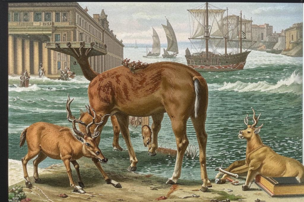 «На светлом лице Европы ...»