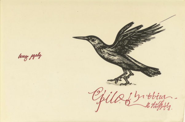 В царстве пернатых