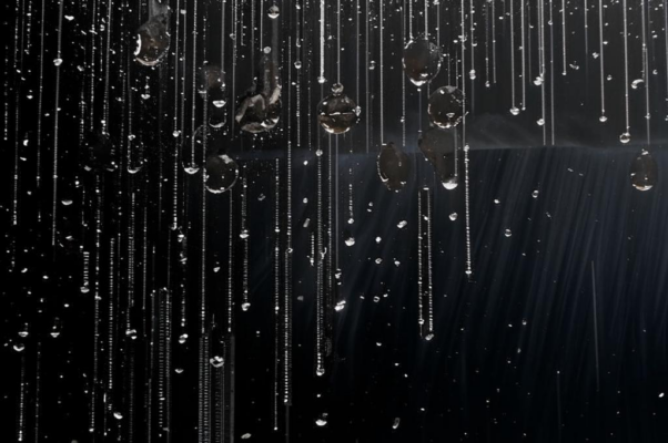 Цветы под дождем