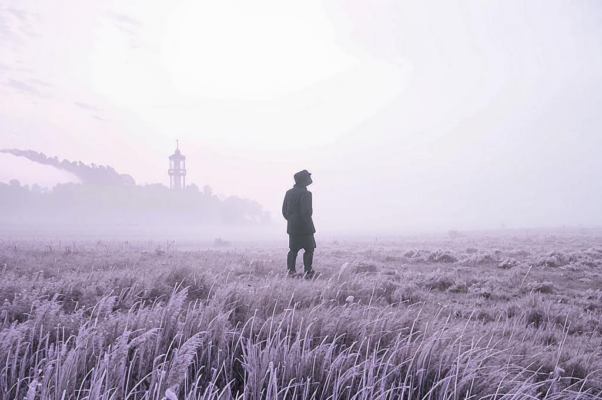 «Прекрасны вы, поля земли родной...»