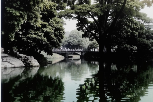 У пруда («В альбом Ларисс…»)