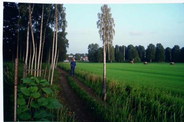 «Над речкой взбухли ватные химеры...»
