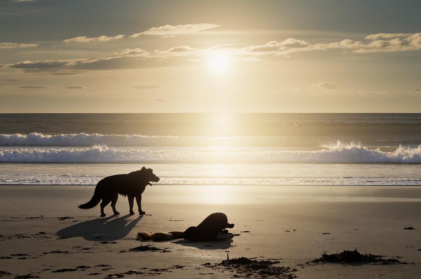 Осень у моря