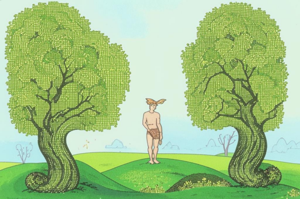 Божьи коровки