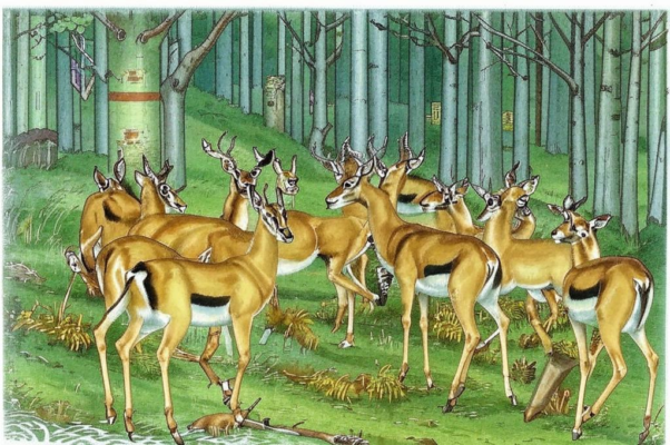 «Пред кельей отшельника, в зарослях пышных...»