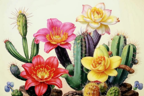 Праздник в теплице