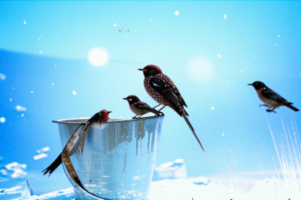 Зима («Ах, зима, зима лихая…»)