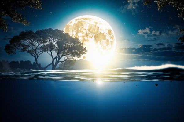 Ода XIX. Должно пить