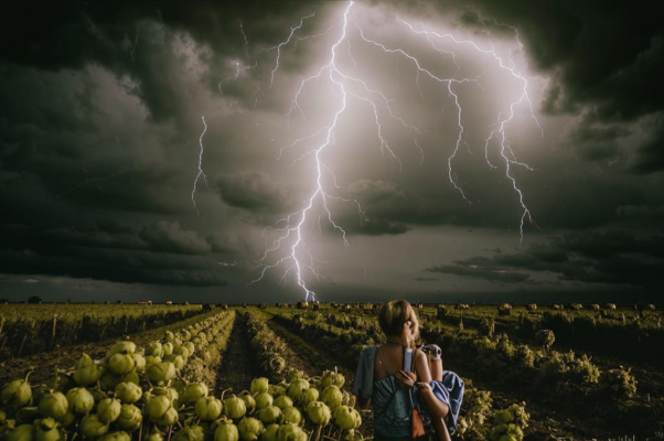 «Мятежный хмель разлит в природе...»
