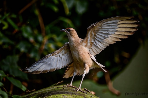 Все печально без тебя