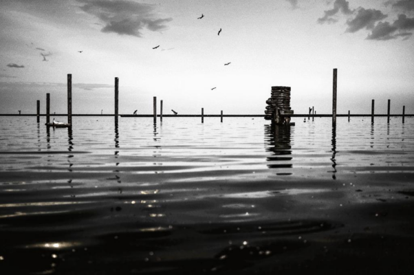 На реке («Плыву вслепую.  Многое не вижу…»)