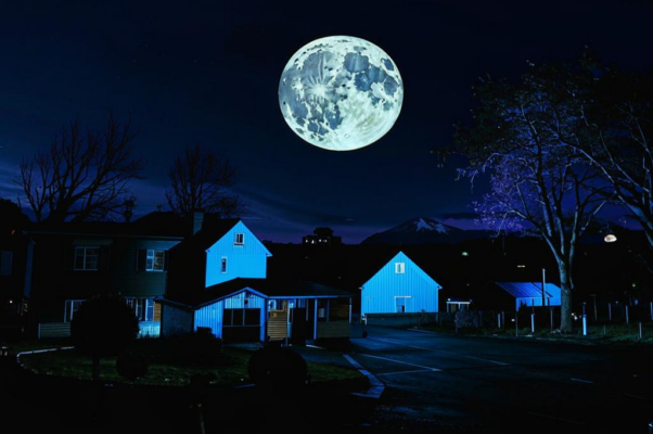 «...На луне не растет...»