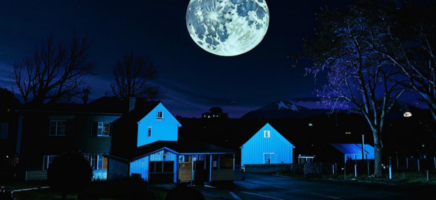 «...На луне не растет...»