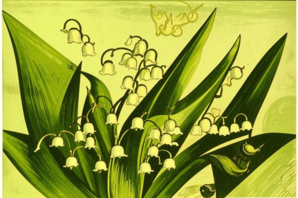 «В девятьсот двенадцатом, как яблоко румян...»