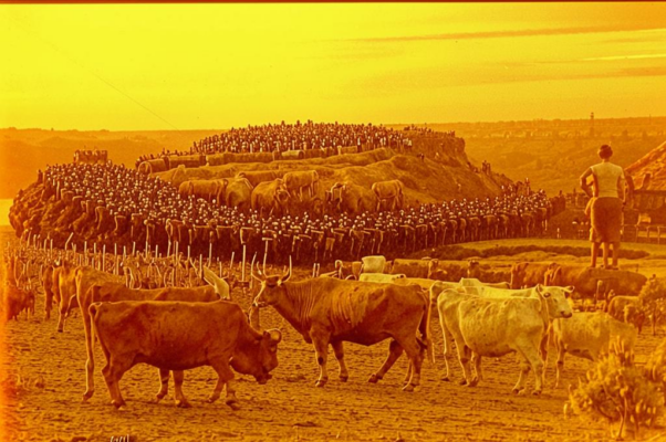 «Как народная громада...»