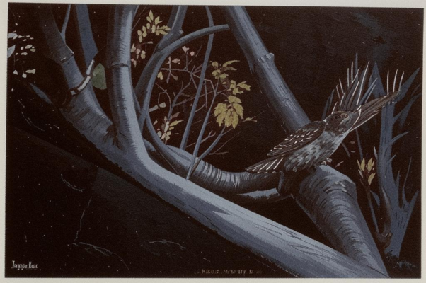 «Как соловей, сиротствующий, славит...»