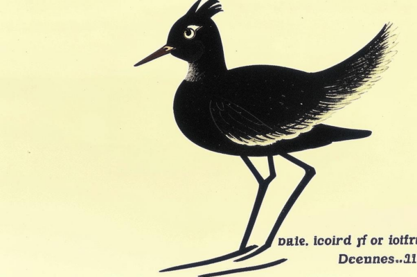 «Детский рот жует свою мякину...»