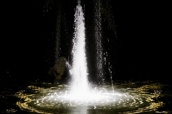 «Единственной отрадой...»