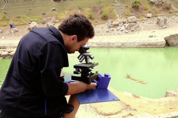 «Моргулис — он из Наркомпроса...»