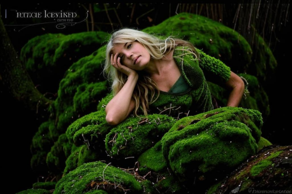 «На влажный камень возведенный...»