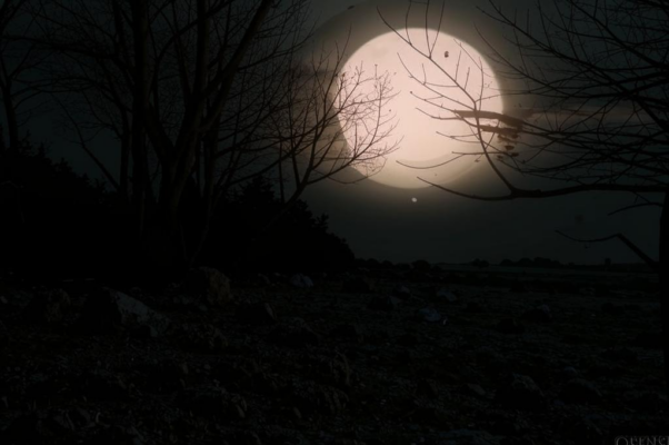 «Смутно-дышащими листьями...»