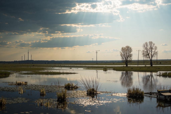 «Я должен жить, хотя я дважды умер...»