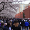 «Уж я люблю московские законы...»
