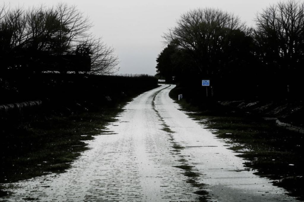 «Пути, распутья, перепутья...»