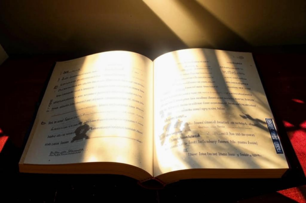 «Есть книги — / В иные из них загляни...»
