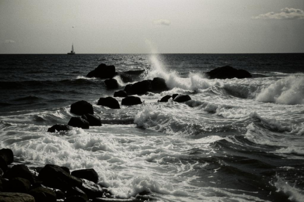 «Морская ширь полна движенья...»