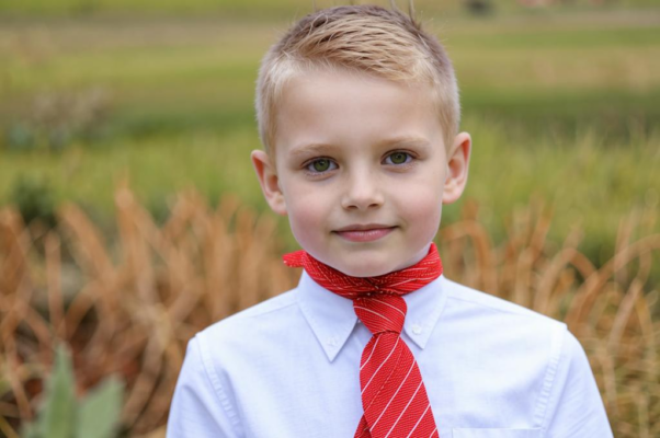 «На траве лесной поляны...»